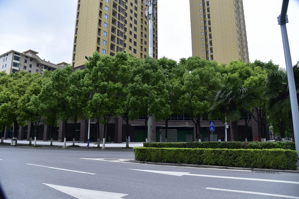 冠南汇侨城2021年4月工程进度底商门前的路面硬化已经完工
