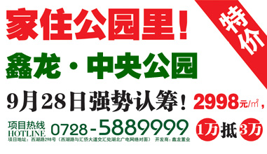 鑫龙·中央公园2998元/㎡起低价来袭
