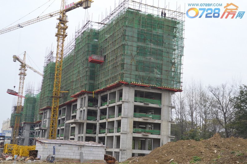 鑫龙.中央公园12月工程进度7#建至9层
