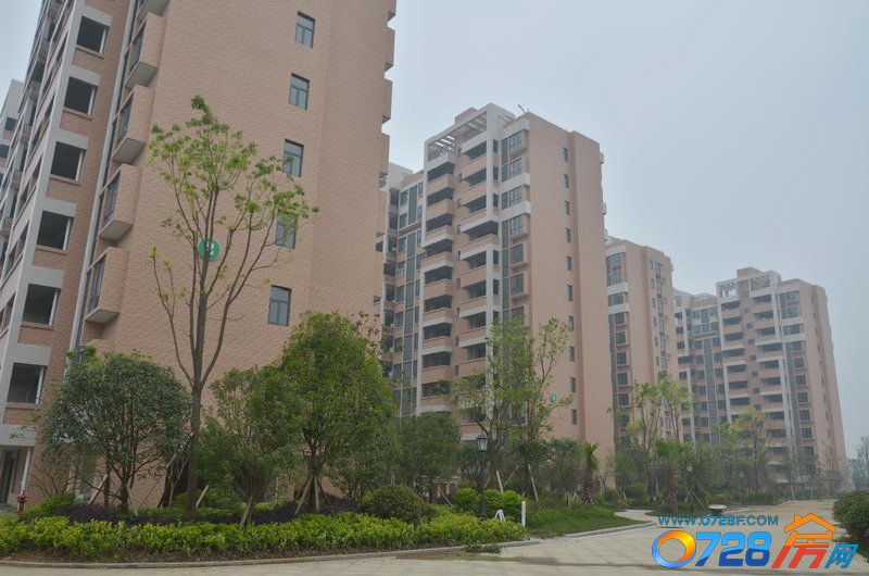 华茂阳光城5月工程进度1-5号楼周边绿化已经完善，地面铺砖也已经完工
