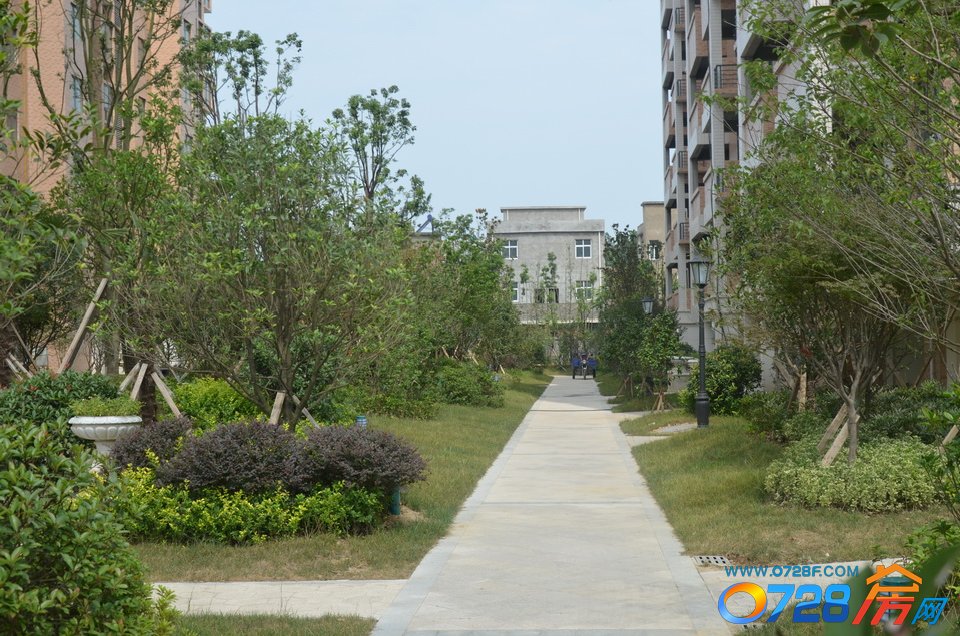 华茂阳光城2015年7月份工程进度一期小区内浓郁成熟的绿化带建设