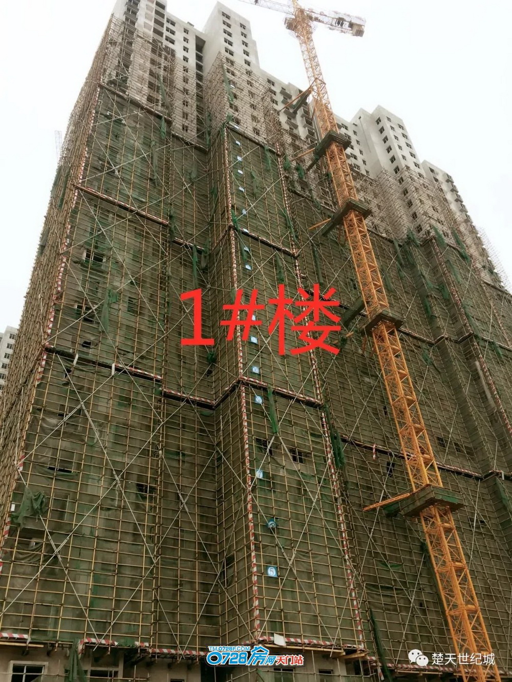 楚天世纪城2019-11-30工程进度1号楼   粉刷完毕，进入装修阶段